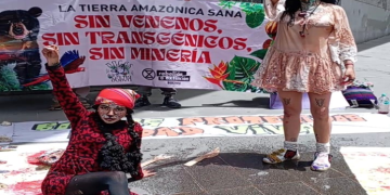 Protestas ambientalistas contra el avance extractivista y el retroceso institucional toman calles