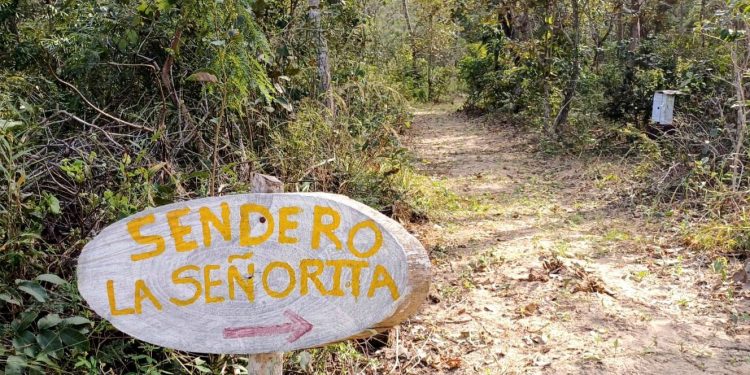 Bosque Pedagógico Los Piyos, un área protegida con base comunal y liderazgo femenino en Santa Cruz