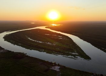 El Pantanal, el mayor humedal del mundo que tres países intentan salvar