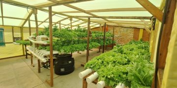 Impulsan huertos Smart en unidades educativas de áreas periurbanas