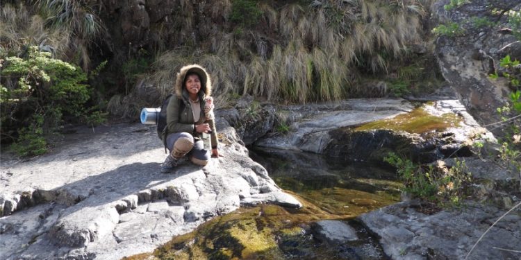 Bosques y cuencas de Tarija: conservación, servicios ecosistémicos y amenazas emergentes