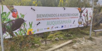 Segunda fase del proyecto de “Revitalización de Auquisamaña” impulsa conectividad ecológica y participación comunitaria