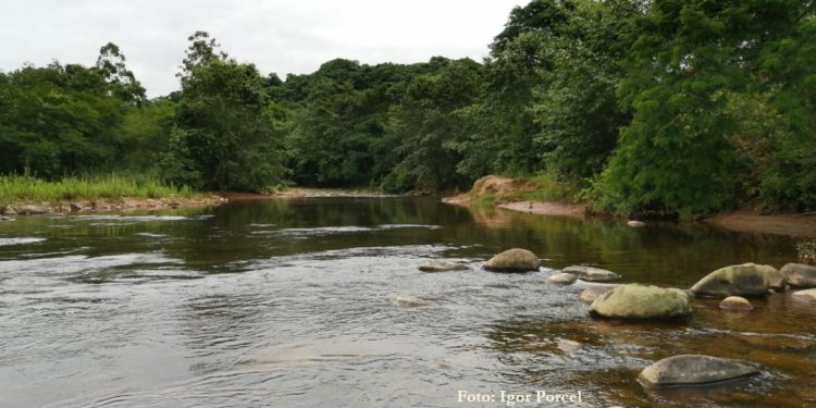 Tariquía: Fiscalía presenta acusación formal en contra de 12 defensores y crece rechazo contra petroleras