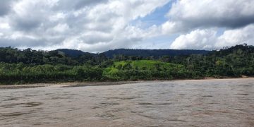 Finanzas sostenibles: ajustes a créditos productivos, hasta salvaguardas en los bonos de carbono