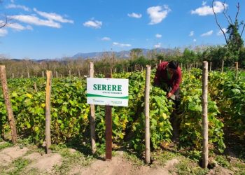 Productores agroecólogos solicitan reposición del proyecto de Ley de bioinsumos