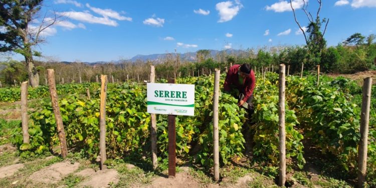 Productores agroecólogos solicitan reposición del proyecto de Ley de bioinsumos