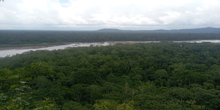Directora del Sernap ratifica instructivo que prohíbe a guardaparques informar temas institucionales por sus RRSS