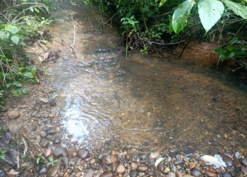 Contiocap exige al gobierno de Rodrigo Paz normativa para protección de recursos hídricos