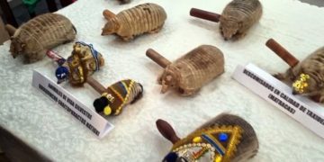 Carnaval y fauna silvestre: una amenaza latente