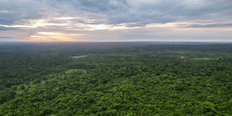 Unen ciencia, comunidad y cooperación internacional para proteger la Chiquitanía