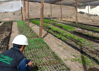 Fonabosque: Auditoría detecta presunta malversación de más de Bs 120 millones en 78 proyectos  