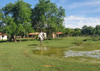 Pablo Villegas: Los grandes propietarios decidieron desproteger a los pequeños productores