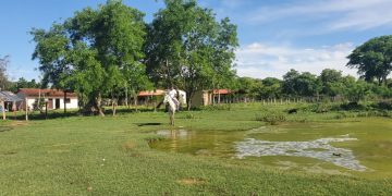 Pablo Villegas: Los grandes propietarios decidieron desproteger a los pequeños productores