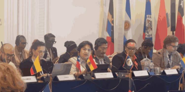 COP4 de Escazú: Bolivia defiende avances en participación ambiental sin concretar su hoja de ruta