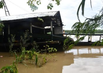Informe técnico alerta daño crítico por minería ilegal con mercurio en el río Madre de Dios