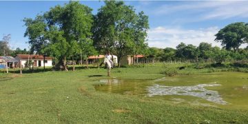 Agenda ambiental para Santa Cruz: Expertos ven urgente la conservación de bosques y fuentes de agua