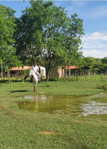 Agenda ambiental para Santa Cruz: Expertos ven urgente la conservación de bosques y fuentes de agua