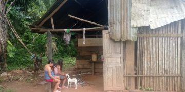 Ese ejjas de Pando se unen al reclamo de sus hermanos de Beni: “No tenemos vivienda social y viajamos un día para llegar al hospital”