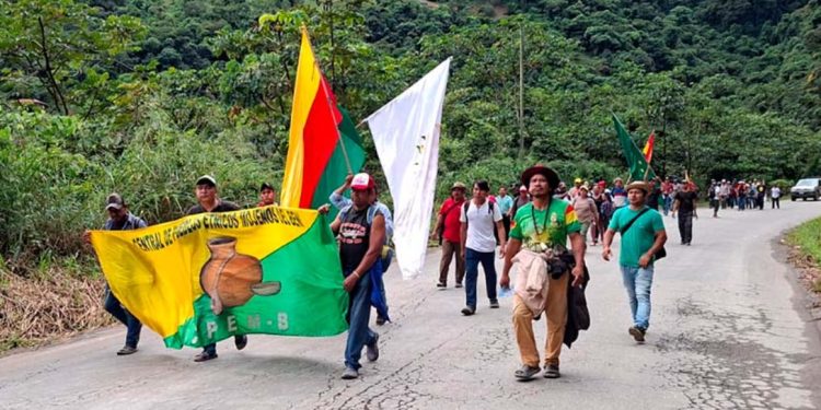 Marcha contra la Ley 1720. Foto: Fundación TIerra