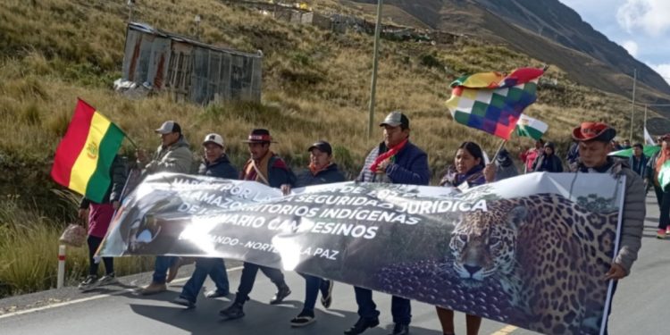 Ley 1720: el rechazo a una norma que movilizó a indígenas y campesinos de tierras bajas y altas y estigmatizó el rol de ONGs