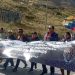 Ley 1720: el rechazo a una norma que movilizó a indígenas y campesinos de tierras bajas y altas y estigmatizó el rol de ONGs