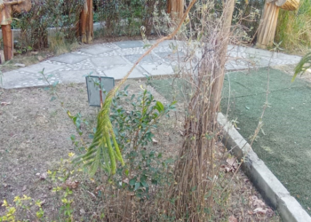 Jardín Botánico agoniza desde hace un mes por la falta de suministro de agua