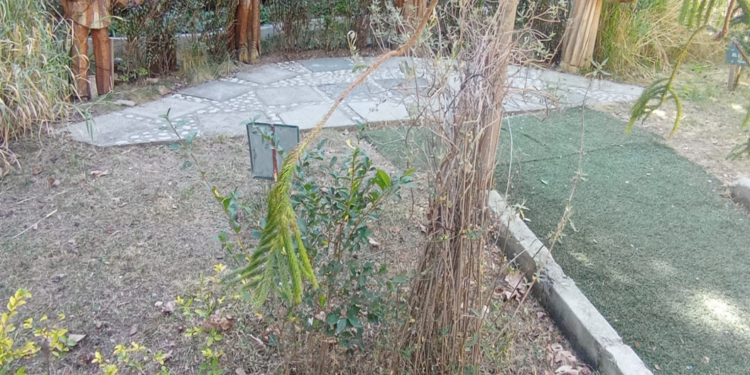 Jardín Botánico agoniza desde hace un mes por la falta de suministro de agua