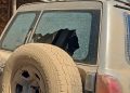 Minería ilegal del oro: Ataque armado contra personal de la AJAM impide inspección