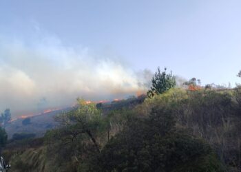Incendios en Tarija permanecen activos en zonas de difícil acceso