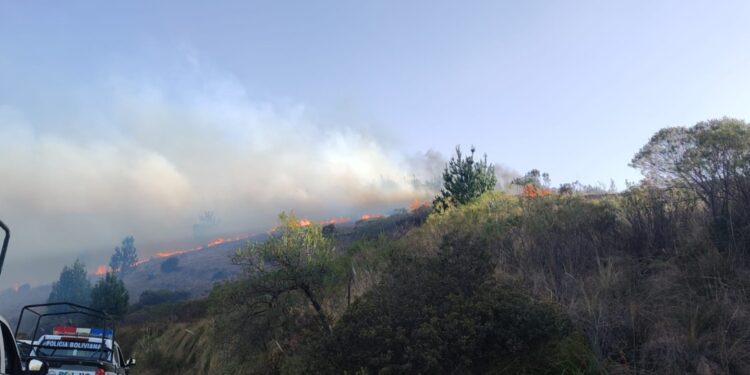 Incendios en Tarija permanecen activos en zonas de difícil acceso
