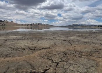 Esta laguna situada en cercanías de Pocona, Cochabamba, lucía así en diciembre de 2024. Gente del lugar explicó que en 40 años no había visto algo similar. Foto: Rocío Lloret