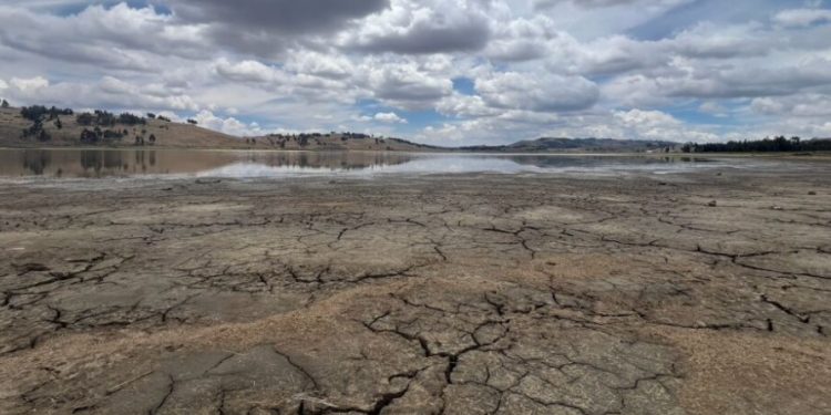 Esta laguna situada en cercanías de Pocona, Cochabamba, lucía así en diciembre de 2024. Gente del lugar explicó que en 40 años no había visto algo similar. Foto: Rocío Lloret