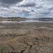 Esta laguna situada en cercanías de Pocona, Cochabamba, lucía así en diciembre de 2024. Gente del lugar explicó que en 40 años no había visto algo similar. Foto: Rocío Lloret