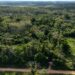 Del sujal a una escuela viva de la Amazonía