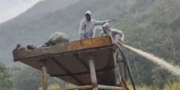 Cooperativa minera Uchumachi invade Senda Verde en busca de oro y pone en riesgo a más de 1.100 animales