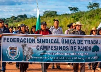 CEDIB registra 31 vulneraciones a pueblos indígenas y derechos ambientales y 20 ataques a defensores