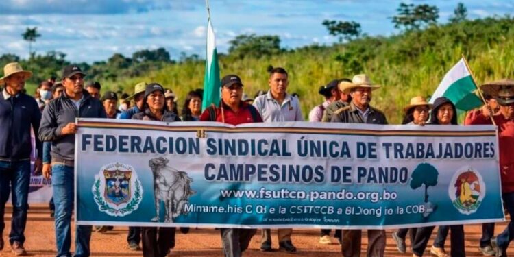 CEDIB registra 31 vulneraciones a pueblos indígenas y derechos ambientales y 20 ataques a defensores