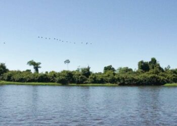 El reino de las alas: Crónica de un viaje a uno de los grandes paraísos de las aves  