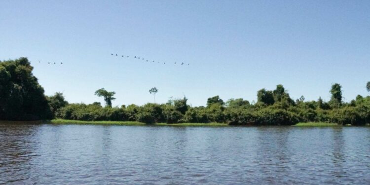 El reino de las alas: Crónica de un viaje a uno de los grandes paraísos de las aves  