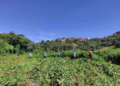 Amenazan con dinamitar casa de afectados de comunidad que denunció minería en Coripata