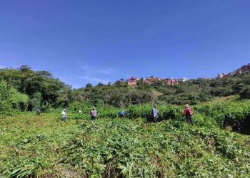 Amenazan con dinamitar casa de afectados de comunidad que denunció minería en Coripata