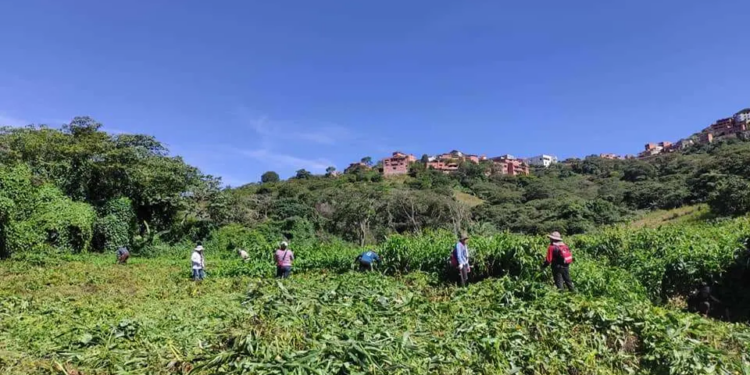 Amenazan con dinamitar casa de afectados de comunidad que denunció minería en Coripata