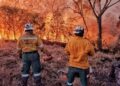 Especialista advierte: Cerca del 75 % de las hectáreas quemadas en 2026 corresponde a territorios que registraron incendios previos