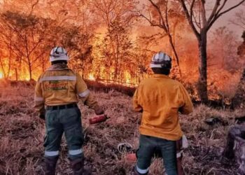 Especialista advierte: Cerca del 75 % de las hectáreas quemadas en 2026 corresponde a territorios que registraron incendios previos