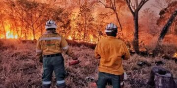 Especialista advierte: Cerca del 75 % de las hectáreas quemadas en 2026 corresponde a territorios que registraron incendios previos
