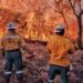 Especialista advierte: Cerca del 75 % de las hectáreas quemadas en 2026 corresponde a territorios que registraron incendios previos