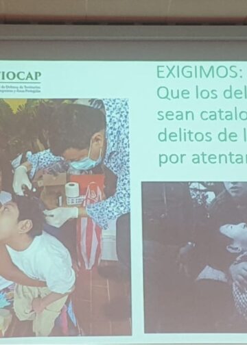 Síndrome de Minamata en la Amazonía: Contiocap pide al Estado diagnósticos ante exigencia de pruebas científicas