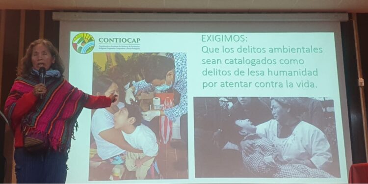 Ruth Alípaz advierte: “En Bolivia ya tenemos indicios del síndrome de Minamata en poblaciones indígenas contaminadas por mercurio”