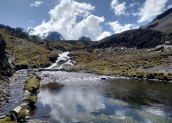 Yaku: desarrollan aplicación para reportar contaminación ambiental en áreas rurales