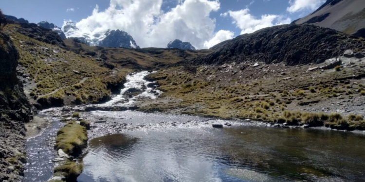 Yaku: desarrollan aplicación para reportar contaminación ambiental en áreas rurales